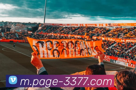 3377体育全站App